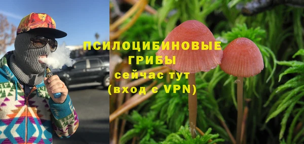 мяу мяу мука Белоозёрский