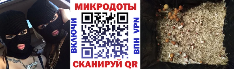 Псилоцибиновые грибы Magic Shrooms  Кушва 